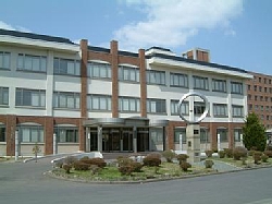 基礎研究部門 基礎研究部門